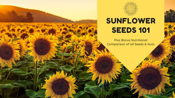 Why We Love Sunflower Seeds: Nutrition, Benefits, and More