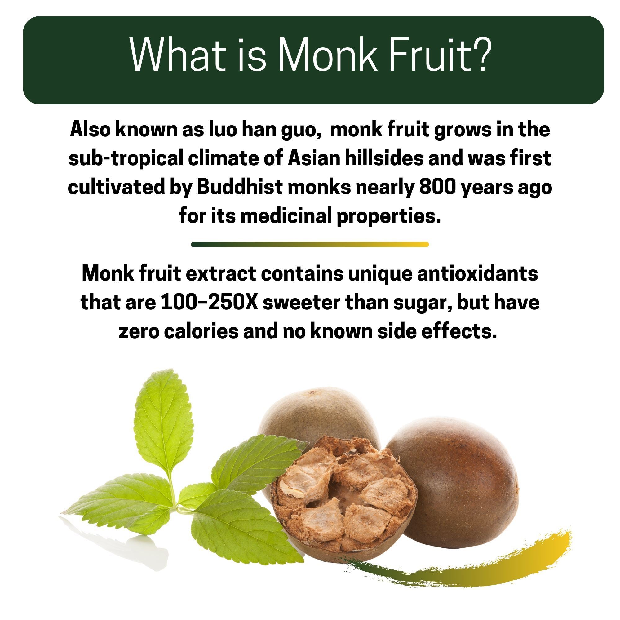 What is Monk Fruit? InfoGraphic